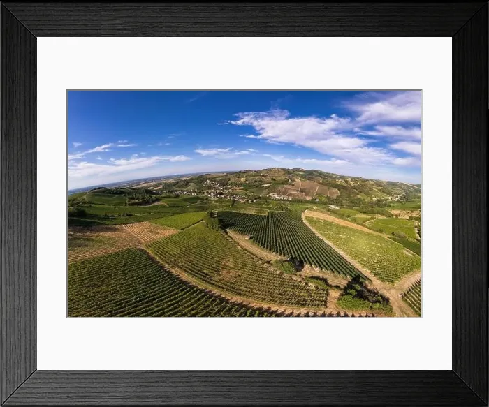 Framed Print : Vineyard plantations, panoramic aerial view north of Italy. Blue sky, clouds, countryside hills in Summer Framed Print : Vineyard plantations, panoramic aerial view north of Italy. Blue sky, clouds, countryside hills in Summer