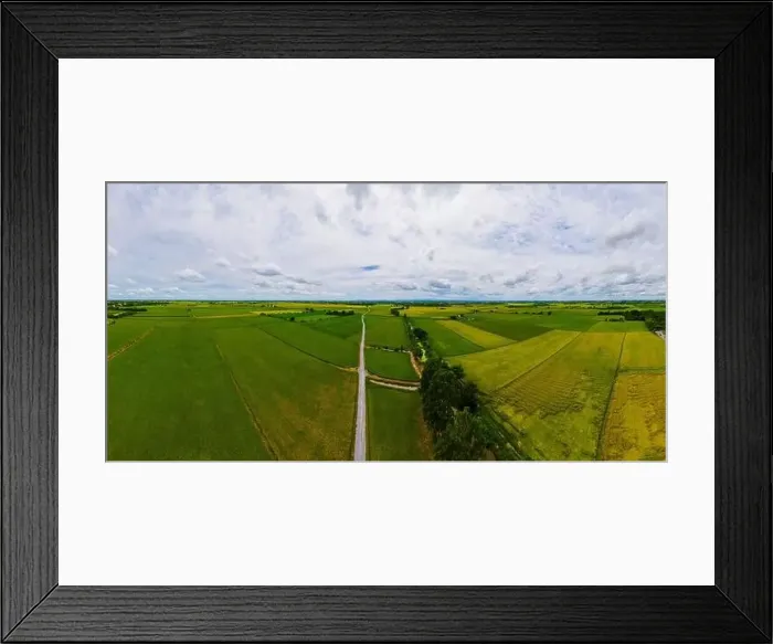 Framed Print : Rice field in central Thailand, paddy field of rice during rain monsoon season in Thailand. green paddy field Framed Print : Rice field in central Thailand, paddy field of rice during rain monsoon season in Thailand. green paddy field