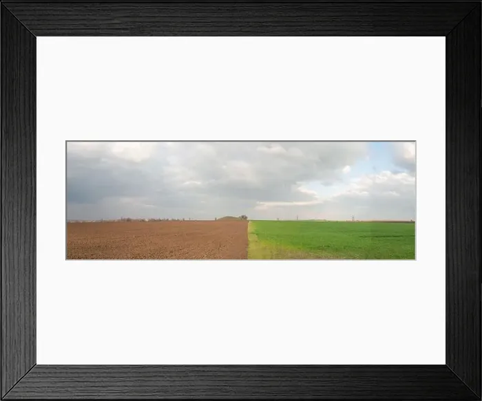Framed Print : panoramic landscape of half green ukrainian field in spring Framed Print : panoramic landscape of half green ukrainian field in spring