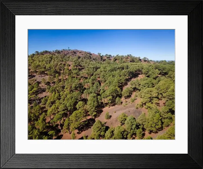 Framed Print : Drone flight over the beautiful lush green pine forest on El Hierro, el pinar Framed Print : Drone flight over the beautiful lush green pine forest on El Hierro, el pinar