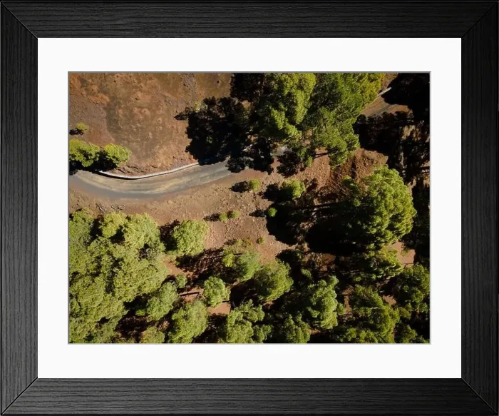Framed Print : Drone flight over the beautiful lush green pine forest on El Hierro, el pinar Framed Print : Drone flight over the beautiful lush green pine forest on El Hierro, el pinar