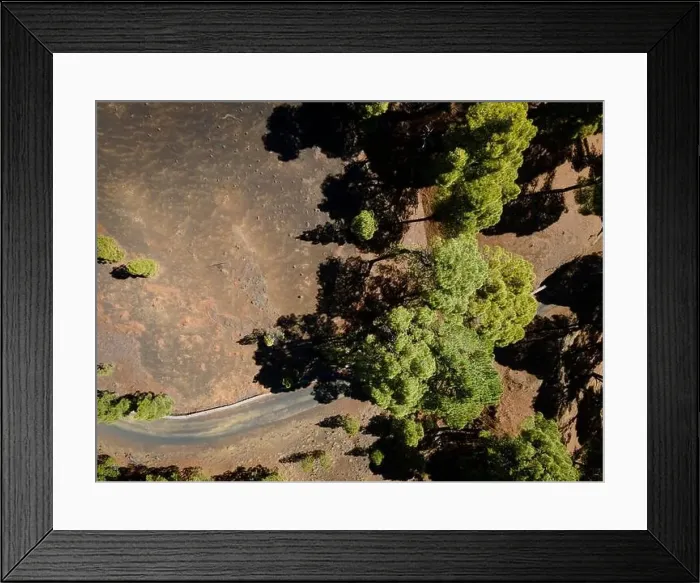 Framed Print : Drone flight over the beautiful lush green pine forest on El Hierro, el pinar Framed Print : Drone flight over the beautiful lush green pine forest on El Hierro, el pinar