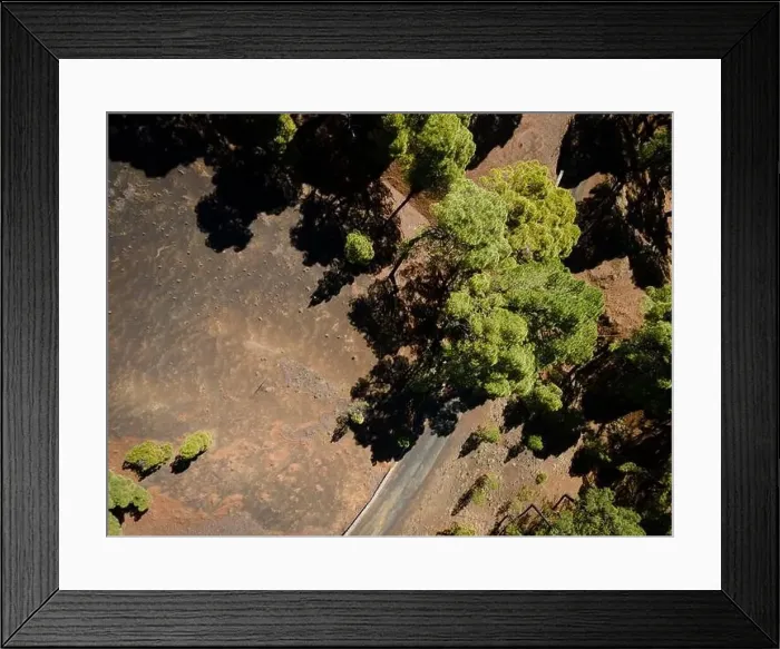 Framed Print : Drone flight over the beautiful lush green pine forest on El Hierro, el pinar Framed Print : Drone flight over the beautiful lush green pine forest on El Hierro, el pinar