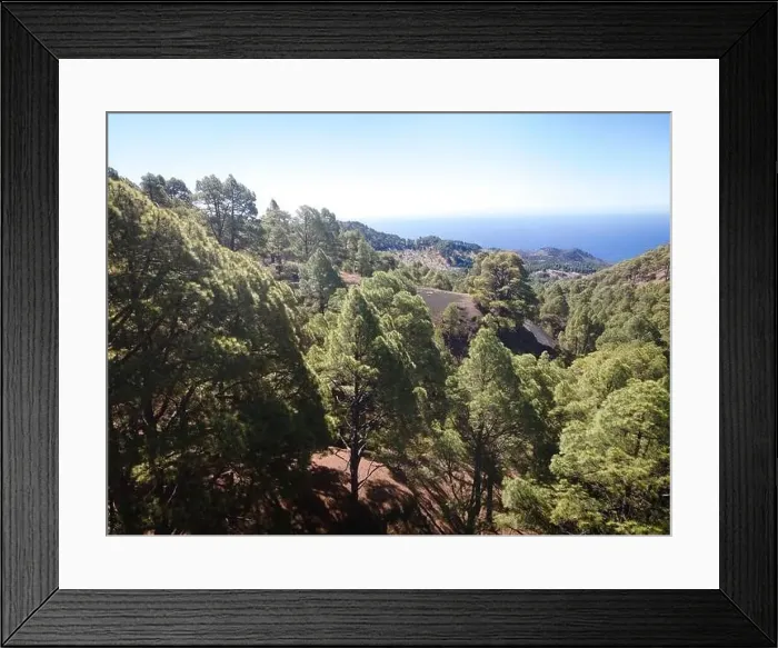 Framed Print : Drone flight over the beautiful lush green pine forest on El Hierro, el pinar