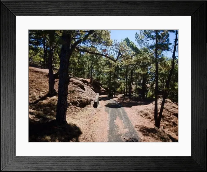 Framed Print : Drone flight over the beautiful lush green pine forest on El Hierro, el pinar Framed Print : Drone flight over the beautiful lush green pine forest on El Hierro, el pinar