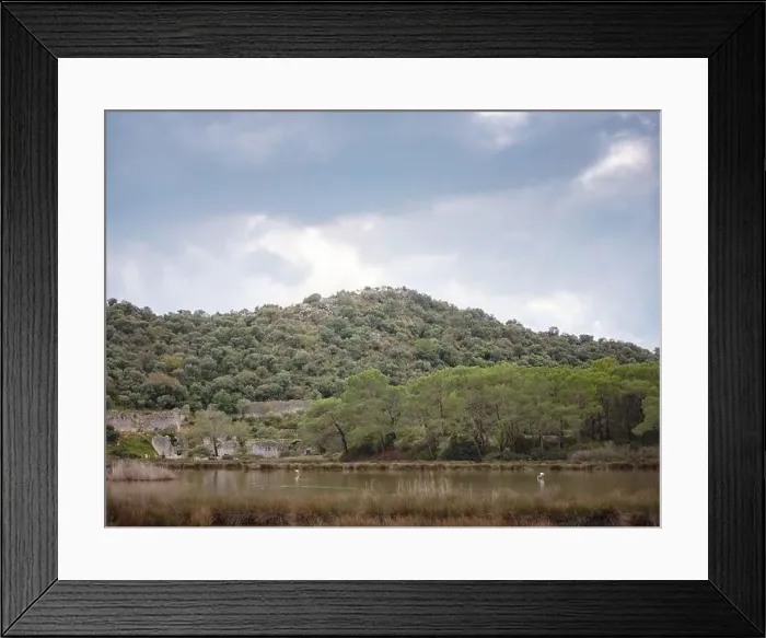 Framed Print : Bird Paradise in Turkey. Pink flamingos in their natural environment with drone shooting
