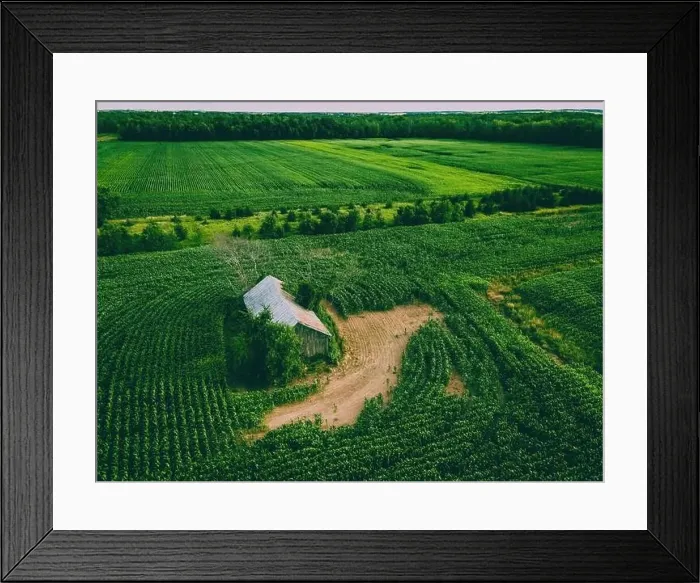 Framed Print : A wisconsin farm in summertime from above Framed Print : A wisconsin farm in summertime from above