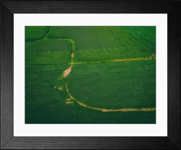 Framed Print : An aerial view of a wisconsin summertime farm with growing corn Framed Print : An aerial view of a wisconsin summertime farm with growing corn