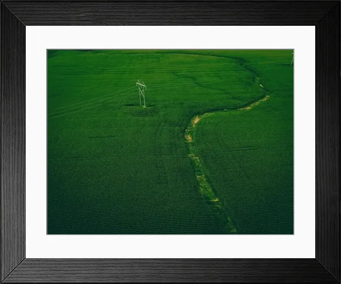 Framed Print : An aerial view of a wisconsin summertime farm with growing corn Framed Print : An aerial view of a wisconsin summertime farm with growing corn