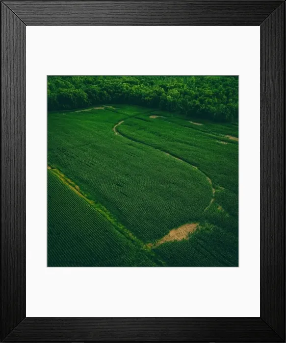 Framed Print : These farmlands in wisconsin border along a forest Framed Print : These farmlands in wisconsin border along a forest