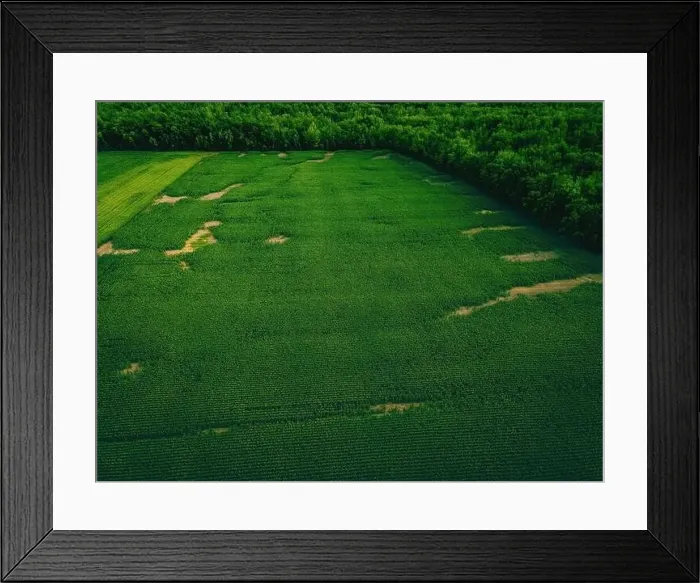 Framed Print : These farmlands in wisconsin border along a forest