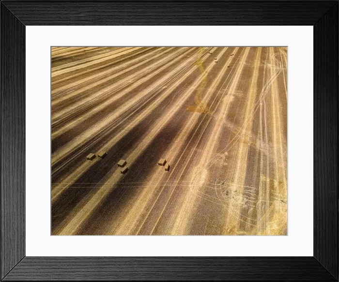 Framed Print : Tractors just cleared the thick grown wheat grass to turn the harvest into bales on a wisconsin farm Framed Print : Tractors just cleared the thick grown wheat grass to turn the harvest into bales on a wisconsin farm