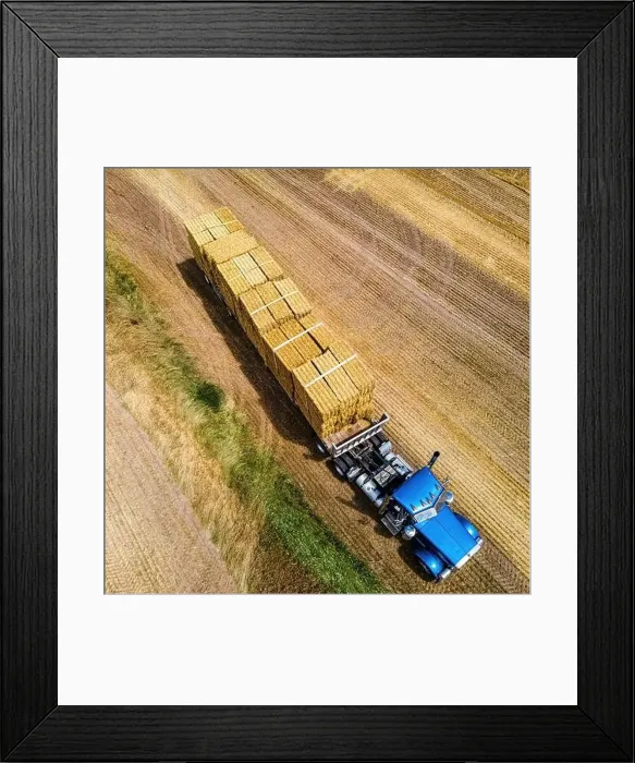 Framed Print : The loading of freshly cut bales on a rural farm in wisconsin Framed Print : The loading of freshly cut bales on a rural farm in wisconsin
