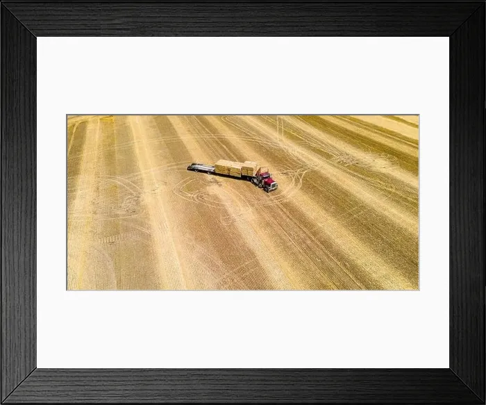 Framed Print : The loading of freshly cut bales on a rural farm in wisconsin Framed Print : The loading of freshly cut bales on a rural farm in wisconsin
