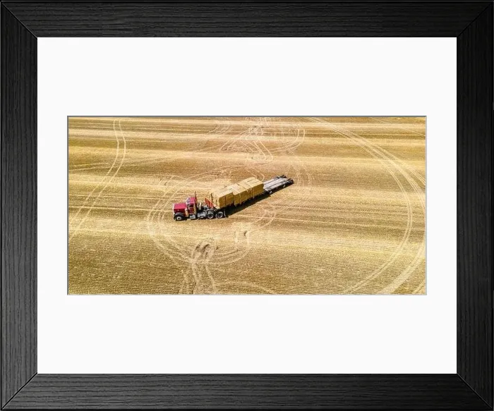 Framed Print : The loading of freshly cut bales on a rural farm in wisconsin Framed Print : The loading of freshly cut bales on a rural farm in wisconsin