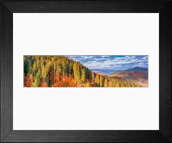 Framed Print : A wonderful autumn landscape. Multicolored conifers and deciduous trees Framed Print : A wonderful autumn landscape. Multicolored conifers and deciduous trees