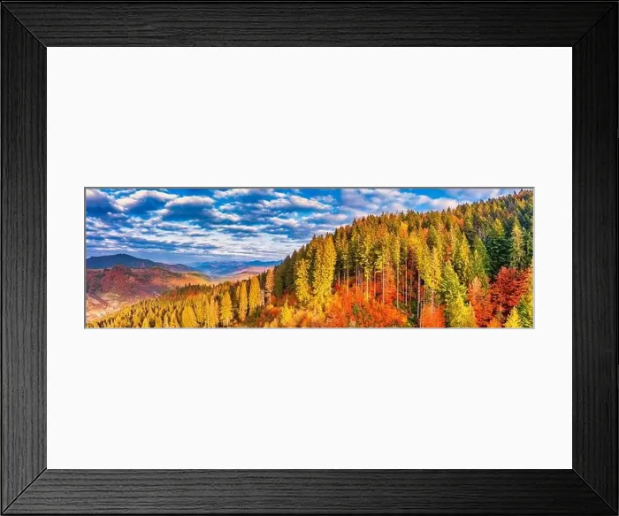 Framed Print : A wonderful autumn landscape. Multicolored conifers and deciduous trees Framed Print : A wonderful autumn landscape. Multicolored conifers and deciduous trees