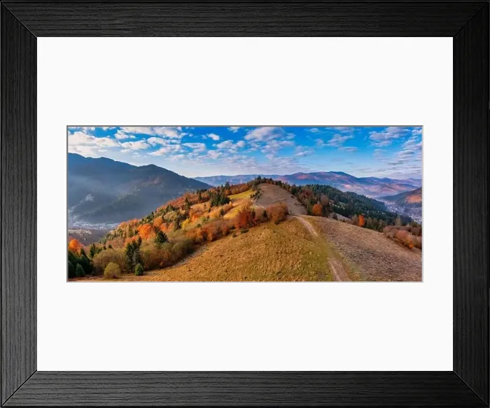 Framed Print : A wonderful autumn landscape. Multicolored conifers and deciduous trees Framed Print : A wonderful autumn landscape. Multicolored conifers and deciduous trees