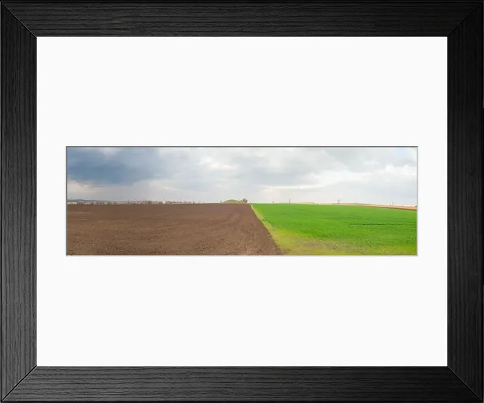 Framed Print : panoramic landscape of half green ukrainian field in spring Framed Print : panoramic landscape of half green ukrainian field in spring
