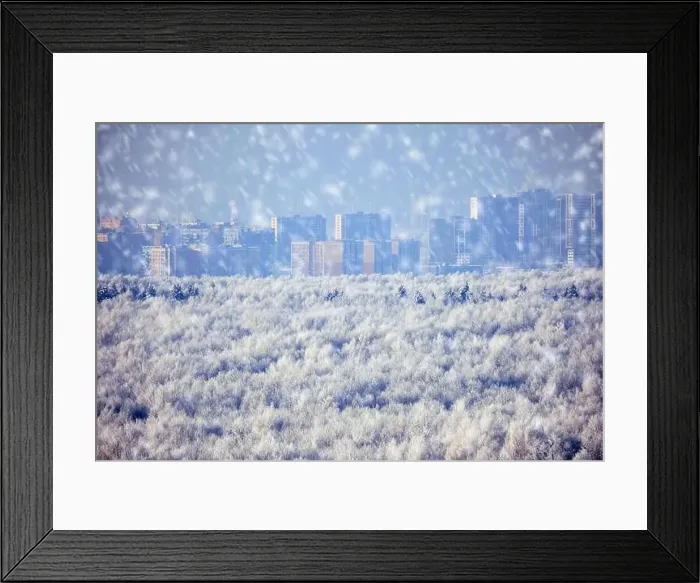 Framed Print : Winter forest with white trees in the snow, copy space for text. Top view of the snowy park, background Framed Print : Winter forest with white trees in the snow, copy space for text. Top view of the snowy park, background