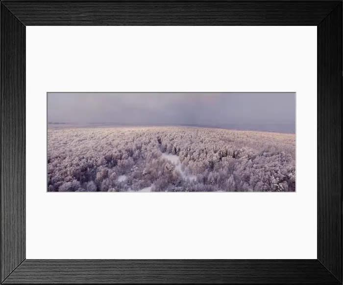 Framed Print : Panorama of a winter forest with white trees in the snow, copy space for text. Panoramic top view of the snowy park Framed Print : Panorama of a winter forest with white trees in the snow, copy space for text. Panoramic top view of the snowy park