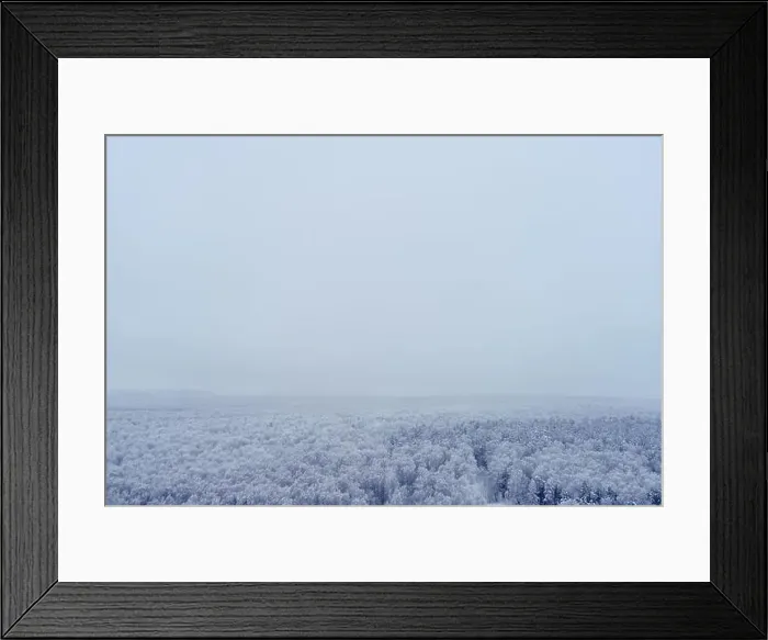 Framed Print : Panorama of a winter forest with white trees in the snow, copy space for text. Panoramic top view of the snowy park Framed Print : Panorama of a winter forest with white trees in the snow, copy space for text. Panoramic top view of the snowy park