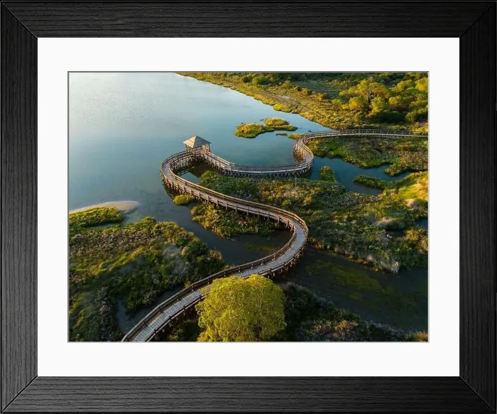 Framed Print : Top view of sea with wooden walkway - Aerial top view of wooden bridge pathway over marshy river with vegetation Framed Print : Top view of sea with wooden walkway - Aerial top view of wooden bridge pathway over marshy river with vegetation