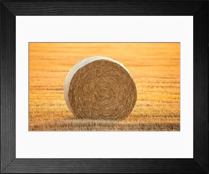 Framed Print : Wonderful summer village landscape. Drone view of an agricultural field with large round bales Framed Print : Wonderful summer village landscape. Drone view of an agricultural field with large round bales