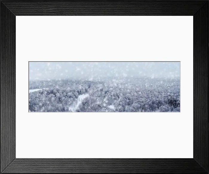 Framed Print : Panorama of a winter forest with white trees in the snow, copy space for text. Panoramic top view of the snowy park Framed Print : Panorama of a winter forest with white trees in the snow, copy space for text. Panoramic top view of the snowy park