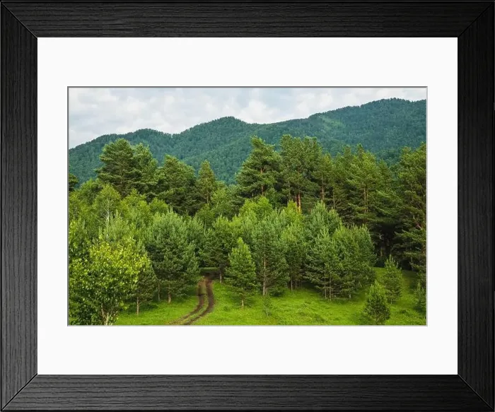 Framed Print : Landscape of mountains in summer Framed Print : Landscape of mountains in summer