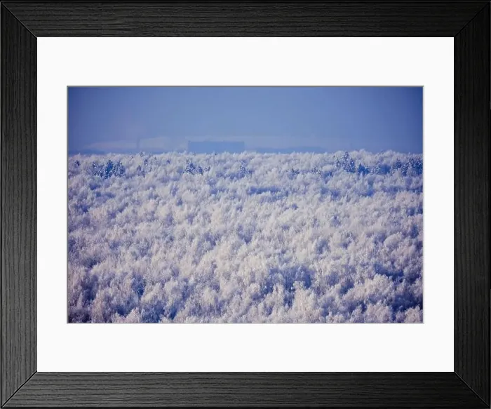 Framed Print : Winter forest with white trees in the snow, copy space for text. Top view of the snowy park, background Framed Print : Winter forest with white trees in the snow, copy space for text. Top view of the snowy park, background