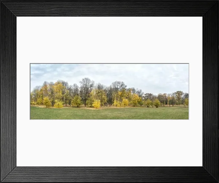 Framed Print : autumn park landscape. trees in yellow and orange colors on cloudy sky background. panoramic drone photo Framed Print : autumn park landscape. trees in yellow and orange colors on cloudy sky background. panoramic drone photo