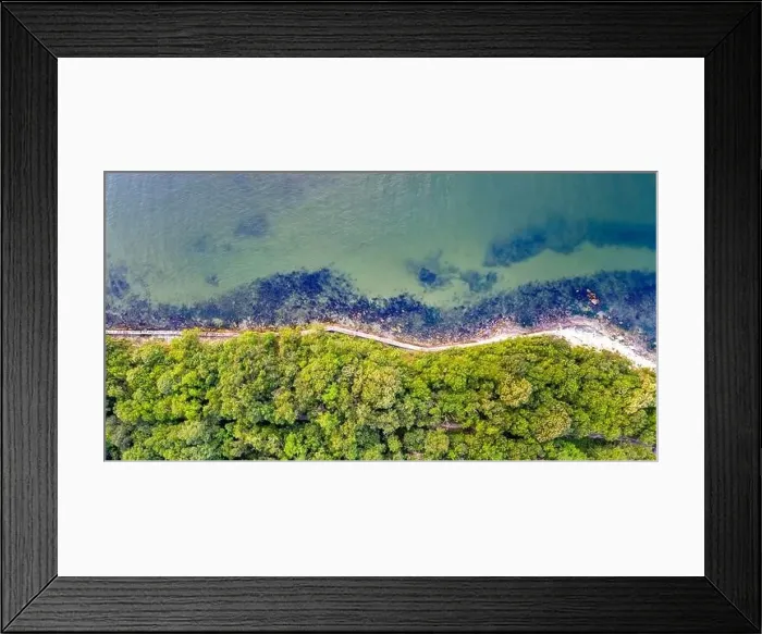 Framed Print : Aerial top view from drone to the coastline covered with green forest near the sea
