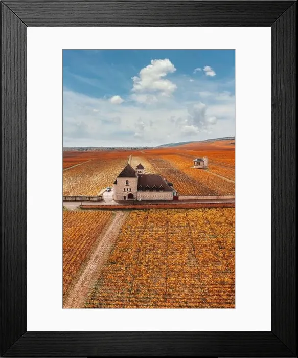 Framed Print : Castle and vineyards in Burgundy, aerial view in autumn. France Framed Print : Castle and vineyards in Burgundy, aerial view in autumn. France