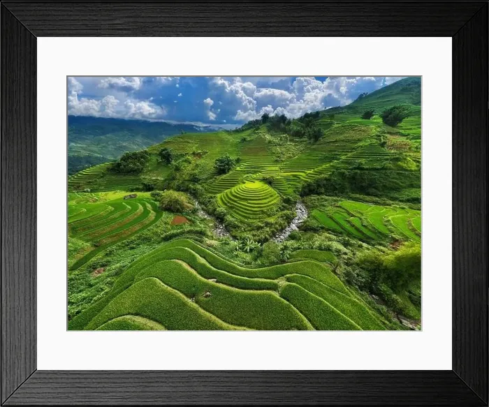 Framed Print : Aerial view of Rice terraces in Mu cang chai, Vietnam Framed Print : Aerial view of Rice terraces in Mu cang chai, Vietnam
