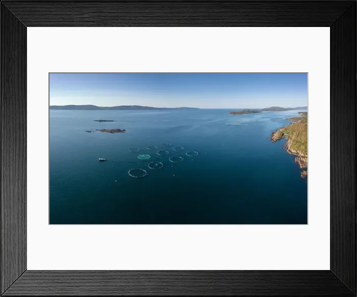 Framed Print : An aerial view of a salmon fish farm in Bantry Bay in County Cork of western Ireland Framed Print : An aerial view of a salmon fish farm in Bantry Bay in County Cork of western Ireland