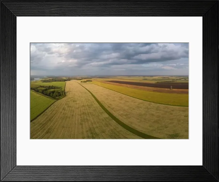 Framed Print : Aerial drone view of wheat field landscape in sunny summer evening Framed Print : Aerial drone view of wheat field landscape in sunny summer evening