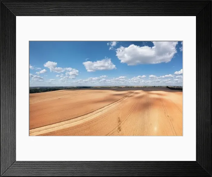 Framed Print : Agricultural field with mature grain crops. Abstract natural background Framed Print : Agricultural field with mature grain crops. Abstract natural background
