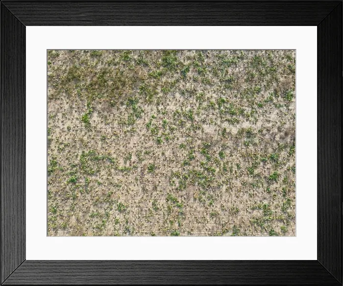 Framed Print : Aerial View of a Pumpkin field in Autumn in Lower Austria Framed Print : Aerial View of a Pumpkin field in Autumn in Lower Austria