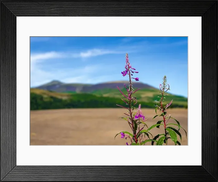 Framed Print : View of hills around Keswick in Lake District, a region and national park in Cumbria in northwest England