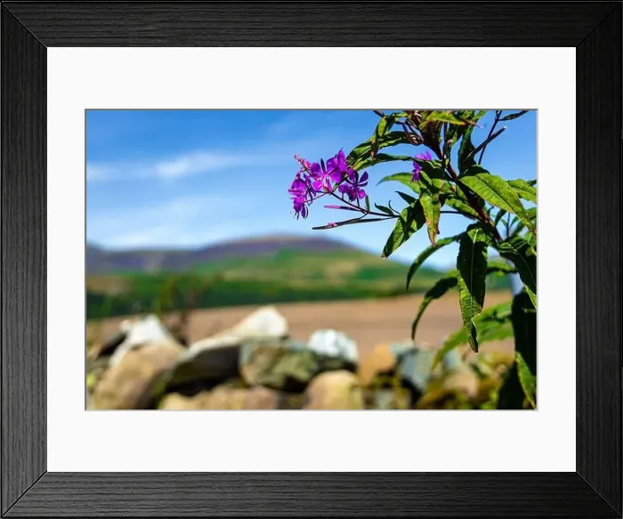 Framed Print : View of hills around Keswick in Lake District, a region and national park in Cumbria in northwest England Framed Print : View of hills around Keswick in Lake District, a region and national park in Cumbria in northwest England