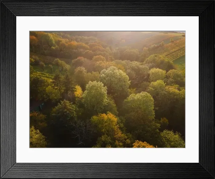 Framed Print : aerial drone fligt over forest in autumn Framed Print : aerial drone fligt over forest in autumn