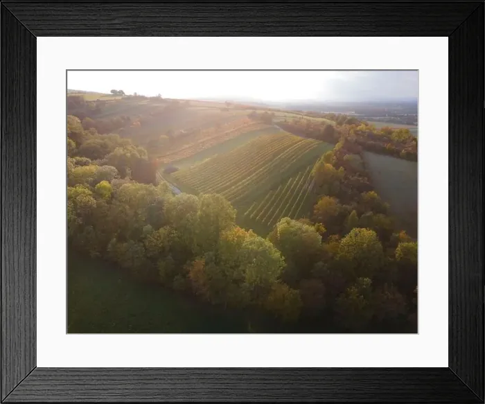Framed Print : aerial drone fligt over forest in autumn Framed Print : aerial drone fligt over forest in autumn