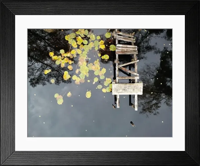 Framed Print : default Framed Print : default