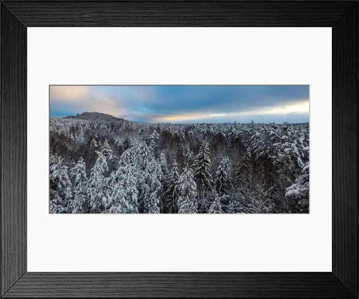 Framed Print : Beautiful winter forest landscape. Tree tops under snow. Drone view Framed Print : Beautiful winter forest landscape. Tree tops under snow. Drone view
