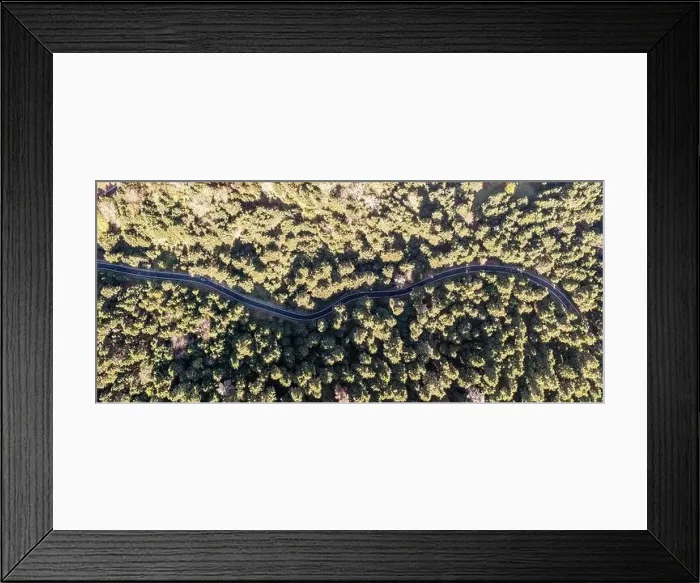 Framed Print : Fir forest and winding asphalt road aerial panoramic view Framed Print : Fir forest and winding asphalt road aerial panoramic view