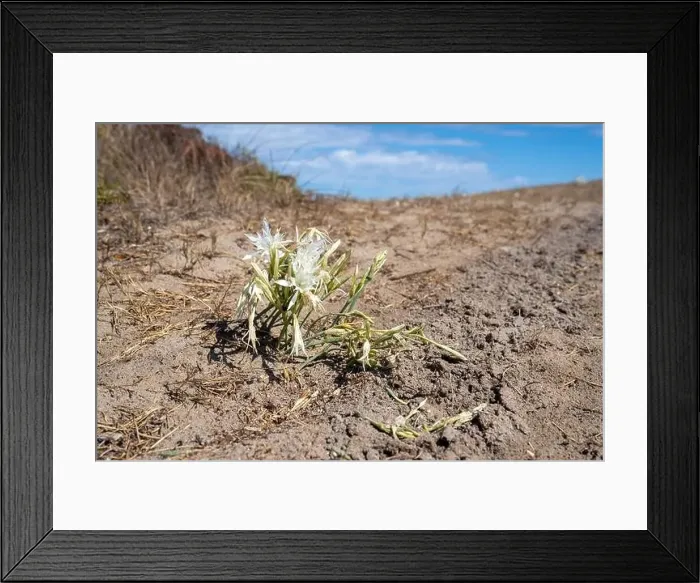 Framed Print : Sardinien im Spätsommer Framed Print : Sardinien im Spätsommer