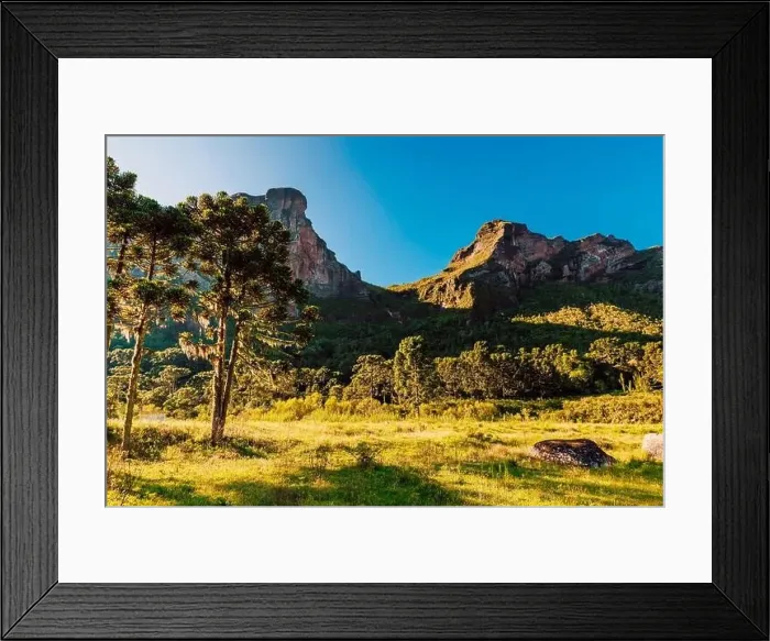 Framed Print : Canyon with trees and rocks with morning light in Santa Catarina, Brazil Framed Print : Canyon with trees and rocks with morning light in Santa Catarina, Brazil