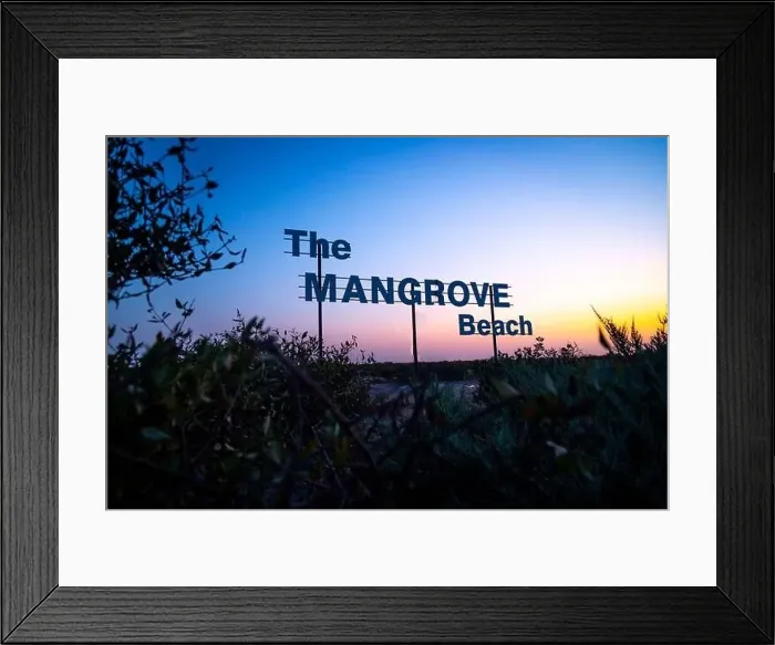 Framed Print : Mangrove beach entrance board and forest in the desert of Umm al Quwain emirate of the United Arab Emirates Framed Print : Mangrove beach entrance board and forest in the desert of Umm al Quwain emirate of the United Arab Emirates