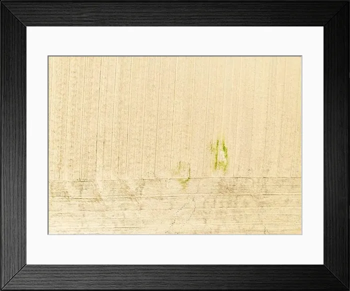 Framed Print : Aerial view of a farm field in Water Mill, NY Framed Print : Aerial view of a farm field in Water Mill, NY